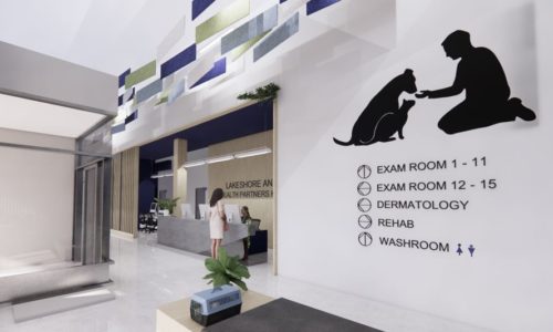 Animal Health Partners Toronto, reception area